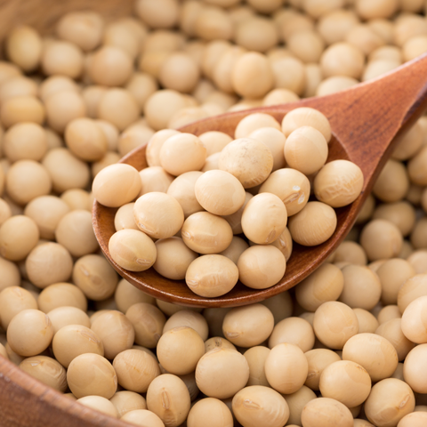Contains soybean seed extract with estrogen-like effects
